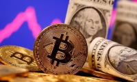 批發價每斤約合人民幣9元，日本11月糙米價格同比上漲約60%